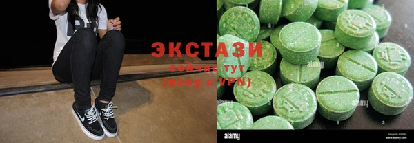 индика Ельня