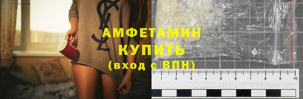 прущие грибы Заволжье