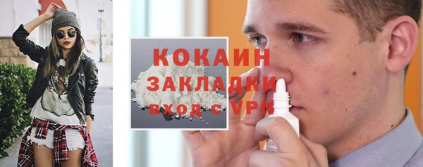 индика Ельня