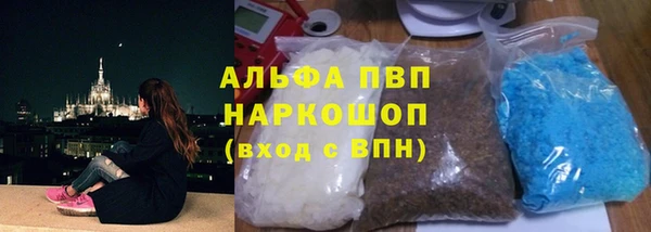 индика Ельня