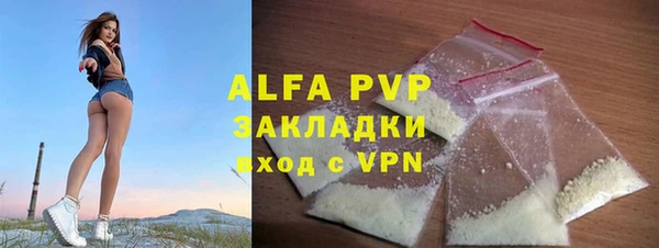 прущие грибы Заволжье