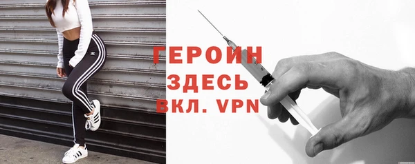 индика Ельня