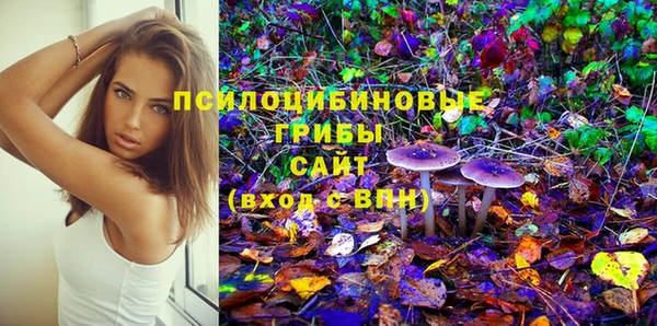тгк Заводоуковск