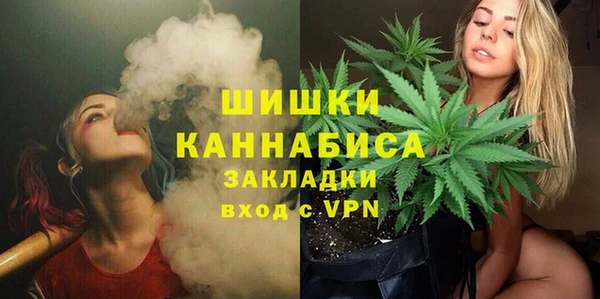 прущие грибы Заволжье