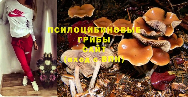 ALPHA-PVP Елизово