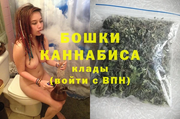 прущие грибы Заволжье