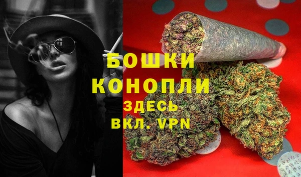 прущие грибы Заволжье
