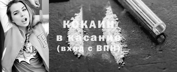 прущие грибы Заволжье