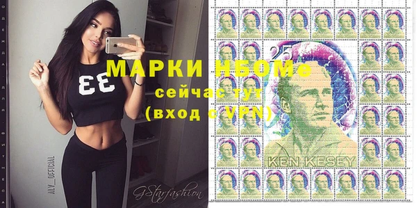 индика Ельня