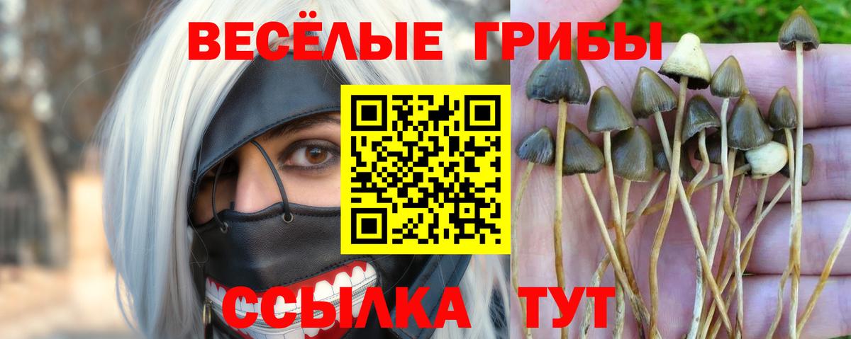 Знаменск  Галлюциногенные грибы ЛСД  Вход с VPN 