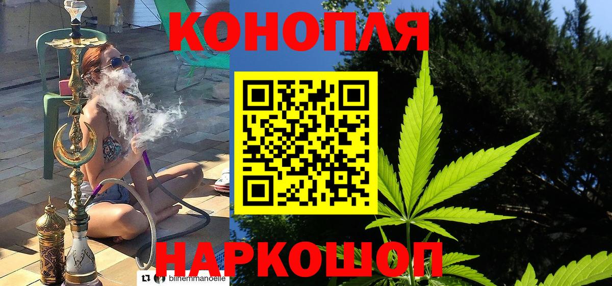 Бошки Шишки MAZAR  Вход с VPN  Знаменск  Бошки марихуана марихуана 